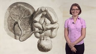 Mana Parast UCSD 1 What is the Placenta [upl. by Anelad]