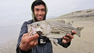 Hunting for Stripers Striped Bass are Back [upl. by Sueaddaht]