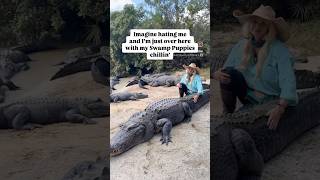 Can you count the Alligators shorts youtubeshorts alligator [upl. by Filberte889]