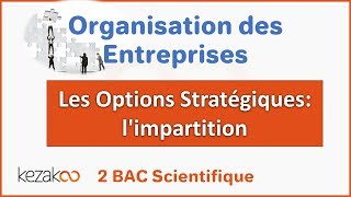 Organisation des Entreprises 2 BAC  Les Options Stratégiques limpartition [upl. by Merry]