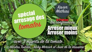 Podcast Bonus spécial arrosage des tomates par trois experts [upl. by Yeliw96]