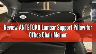 Review ANTETOKO Lumbar Support Pillow for Office ChairMemory Foam Back Support for ChairCar SeatC [upl. by Gerhardine]