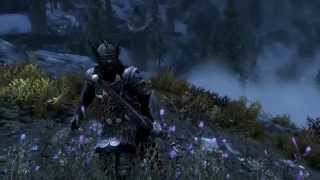 Skyrim Battles  Talos Tiber Septim vs Alduin Adept Settings [upl. by Aneles]