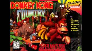 Donkey Kong Country  Fear Factory 8bit remix [upl. by Balfore]