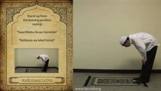 How to Pray  Asr Afternoon Pray  Fardh [upl. by Choo]