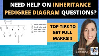 INHERITANCE PEDIGREE DIAGRAMS How to get FULL MARKS on exam questions  question run through [upl. by Ahsikat404]