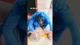 yah masala sara roti da punjabi song 🥹 how to YouTube short videoshorts youtubeshorts shortvideo [upl. by Emad]