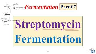 108 Streptomycin Fermentation  Microbial Production of Streptomycin [upl. by Cilegna906]