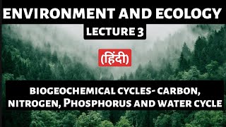 Biogeochemical Cycles Explained Carbon Nitrogen Phosphorus amp Water Cycles for UPSC Preparation [upl. by Ashly]