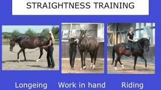 Straightness Training Webinar  Part II  Marijke de Jong [upl. by Uhthna647]