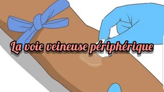 La voie veineuse périphérique [upl. by Attej881]