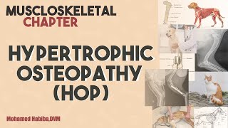 Hypertrophic osteopathy lecture 3  HOP [upl. by Ayinat]