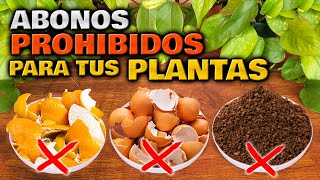 ¡CUIDADO Estos ABONOS CASEROS son PELIGROSOS para tus PLANTAS  Abono Casero Jardin o Huerto Urbano [upl. by Maffei]