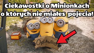 Minionki  Ciekawostki o ktorych nie miales pojecia [upl. by Ellersick274]