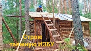 Строительство ТАЁЖНОЙ ИЗБЫ От первого бревна до НОВОСЕЛЬЯ DIY [upl. by Nosila]