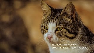 Nikon D3300 Photo Samples [upl. by Camella]