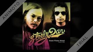 Steely Dan  Josie  1978 [upl. by Penney]