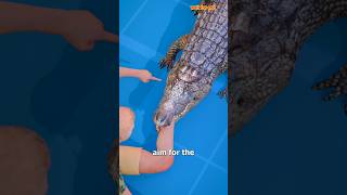 How To Escape An Alligator Death Roll 😨shorts [upl. by Stouffer475]