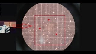 Hemocytometer  Counting of cells  Amrita University [upl. by Chiarra]