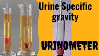 UrinometerSpecific gravity of Urine [upl. by Chilt]