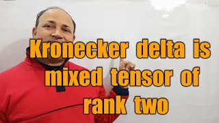 kronecker delta is mixed tensor of rank two tensor algebra bsc Msc maths in hindi by Hd sir [upl. by Clauddetta779]