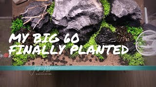 3 BEST CARPET PLANTS for beginners  60x50x40 finally planted [upl. by Desdee30]