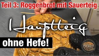 Teil 3 Brotteig fertig machen und backen  Roggenbrot mit Sauerteig und Altbrot Recyceling [upl. by Hnamik]