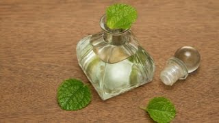 How to Make Peppermint Infused Oil Easy DIY for Hair Scalp amp More [upl. by Natty]