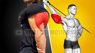 Best Triceps Workout at Gym with Cable Only [upl. by Halsted435]