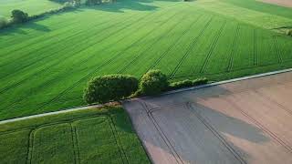 Drone Footage Agriculture Land  Aerial Views Croplands [upl. by Imefulo]