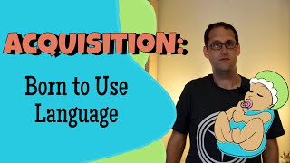 Language Acquisition and Universal Grammar [upl. by Oderf]