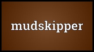 Mudskipper Meaning [upl. by Eeneg]