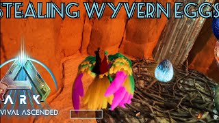 Stealing wyvern eggs on scorched earth with an argentavis official in ark survival ascended ark [upl. by Kotto866]