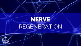 Nerve Regeneration  Repair Nerve Connections  Activate Growth  Binaural Beats  Meditation Music [upl. by Eanar556]