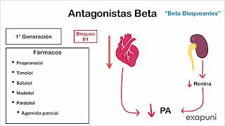 Antagonistas alfa y beta adrenérgicos  Farmacología [upl. by Sly798]