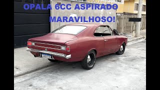 OPALA 6CC ASPIRADO MARAVILHOSO [upl. by Chrisy808]