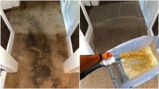 The Best Way To Clean Carpet [upl. by Eimmis]