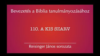 110 A kis szarv  Bevezetés a Biblia tanulmányozásához  Reisinger János [upl. by Adiam413]