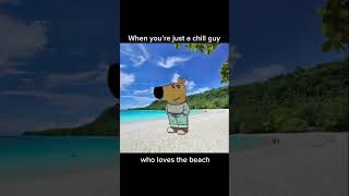 just a chill guy bro viral chillguymeme shorts trending trends youtubeviral chillguy yehsjdj [upl. by Glennis]