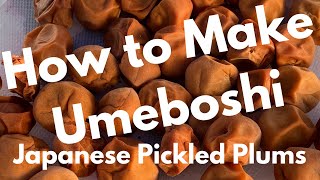 How to Make Umeboshi 梅干 Part 1 of 3 [upl. by Deach]