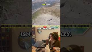 Adrenaline Misadventures  Wingsuit Fails ❌🪂 wingsuit viral [upl. by Teragramyram308]