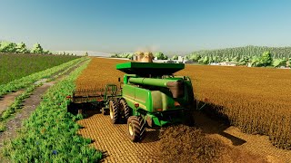 Harvesting Soybeans and Sunflowers Farming Simulator 22 12 [upl. by Feld]