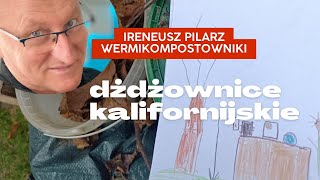 Pierwszy wermikompostownik z palet przygotowany do zimy [upl. by Mcknight]