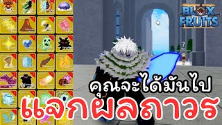 แจกผลถาวร  Blox Fruits [upl. by Bokaj]