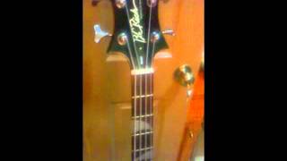 BC Rich Beast Platinum series bass [upl. by Irianat]