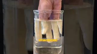 hydrophobic coting science sciencefacts hydrophobic [upl. by Karim]