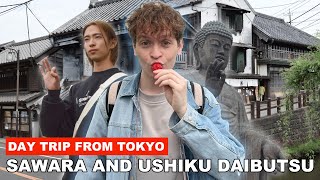 Sawaras Edo Town Strawberry Farm Ushiku Daibutsu — Day Trip from Tokyo with Sora  ENG UA sub [upl. by Yelrahs]