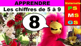 Apprendre les chiffres en maternelle pour ps ms et gs  chiffres de 5 à 9 [upl. by Ern458]