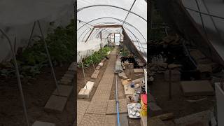 DIY Heated Greenhouse shorts earthdwellershomestead [upl. by Ahsiniuq68]