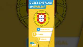 Flag Quiz 🚩 flag emblem geography flagtrivia quiz [upl. by Radferd911]